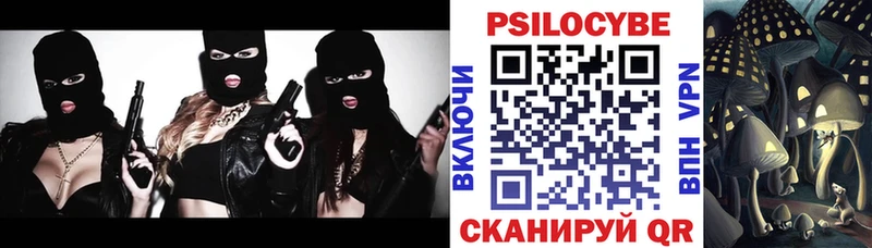 Купить  Бирск  Галлюциногенные грибы Psilocybe 